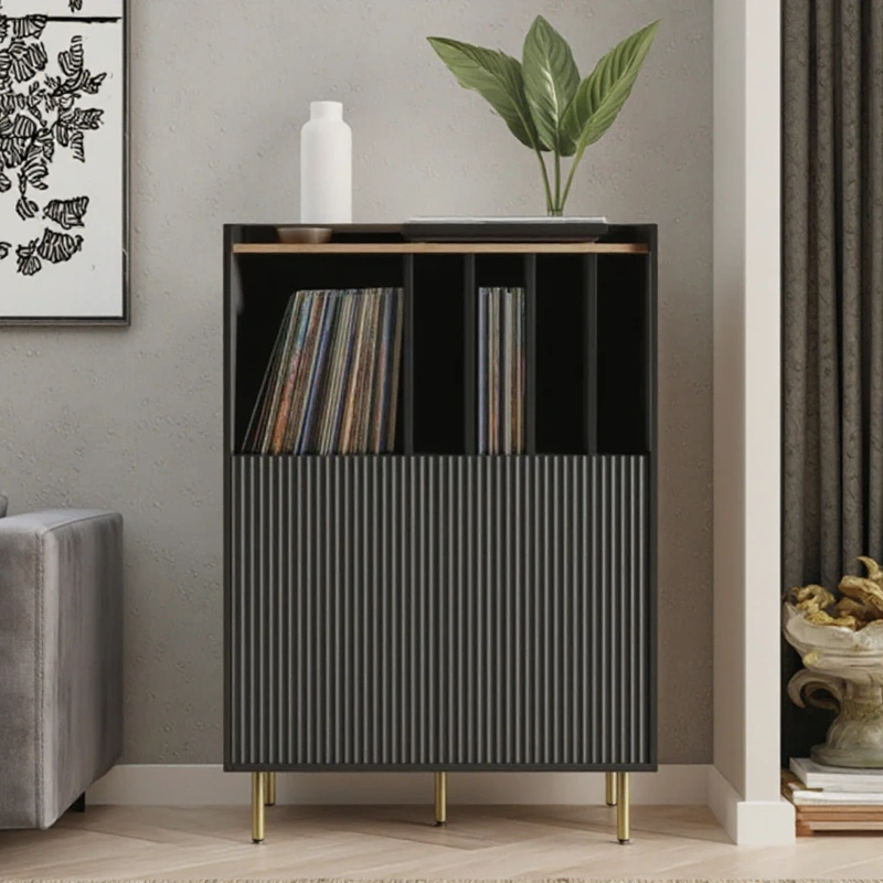 Modern Wooden Vinyl Record Storage Cabinet